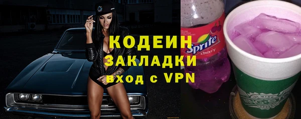 гидра Бородино