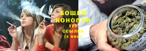 ПСИЛОЦИБИНОВЫЕ ГРИБЫ Бронницы