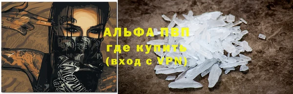 гидра Бородино